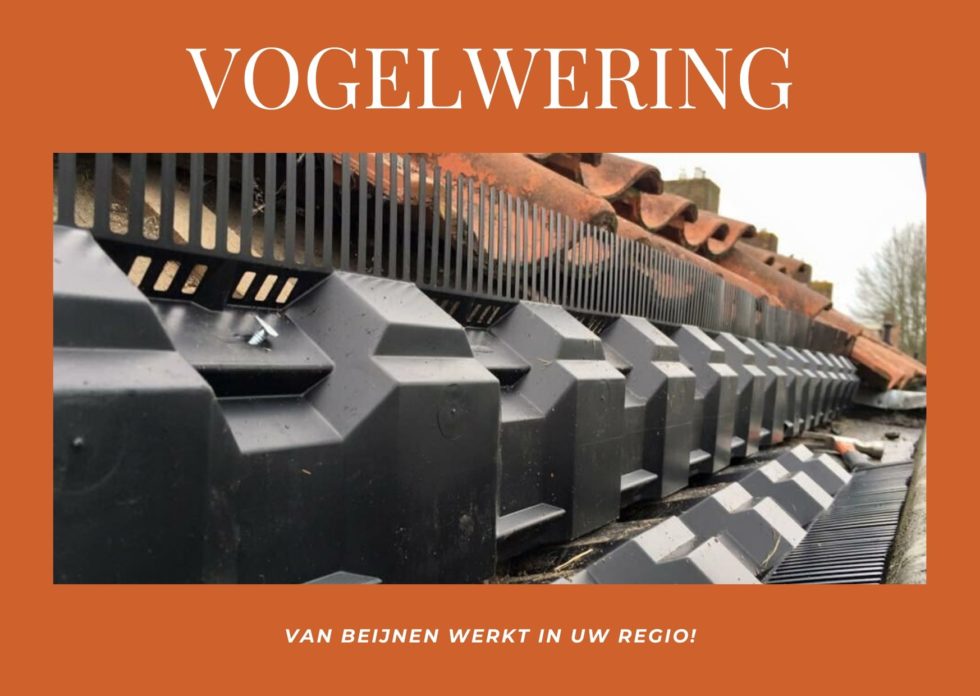 Vogelwering - Dakwerken Alkmaar